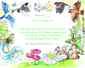 Adult Certificate
