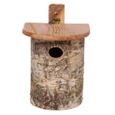 Silver Birch birdhouse4_M