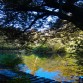 Lakes in the Woodland!