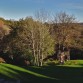 A View from the Beacon Country Pub