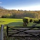 A Woodland Walk